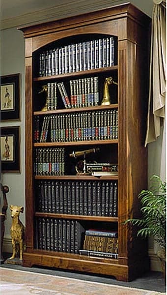 Towering Tomes Bookcase Woodworking Plan