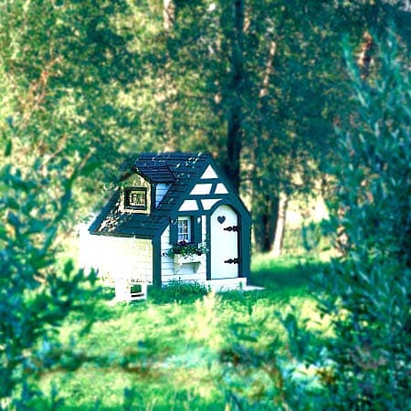 1929 Playhouse - Project Plan 501817