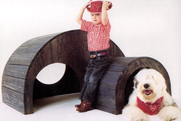 Igloo Playhouse - Project Plan 504321