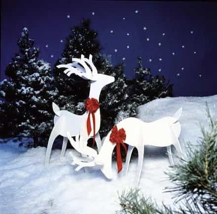 504882 - Graceful Reindeer